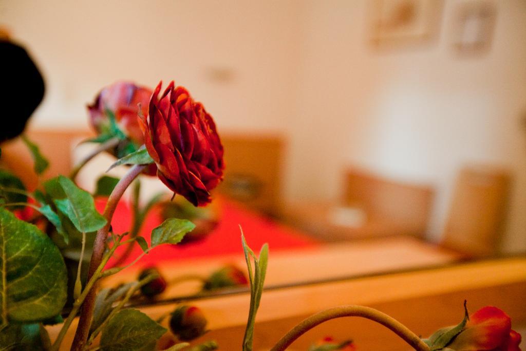 Hotel Possidon Aegina 객실 사진